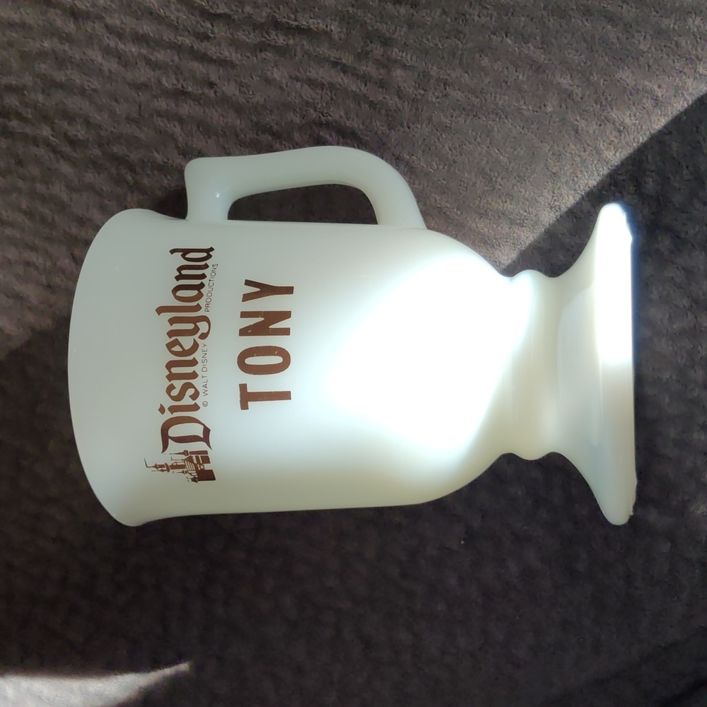 Disneyland mug